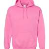 Gildan Hoodie (Assorted Colors & Sizes)