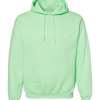 Gildan Hoodie (Assorted Colors & Sizes)