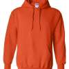 Gildan Hoodie (Assorted Colors & Sizes)