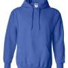 Gildan Hoodie (Assorted Colors & Sizes)