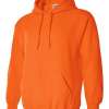 Gildan Hoodie (Assorted Colors & Sizes)