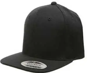 Snapback Hats Gemini Teez