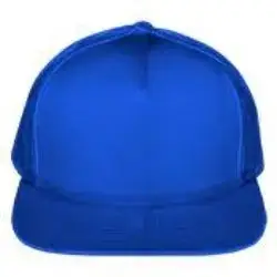 Snapback Hats Gemini Teez