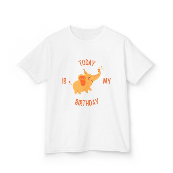 Birthday Elephant Kids Graphic Tee